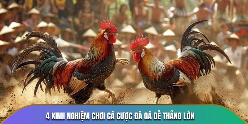 đá gà cựa sắt