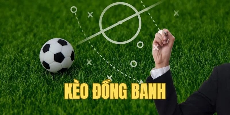 Cách soi kèo chuẩn cho người mới chơi