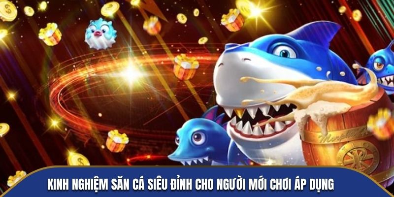 Kinh nghiệm săn cá siêu đỉnh cho người mới chơi áp dụng