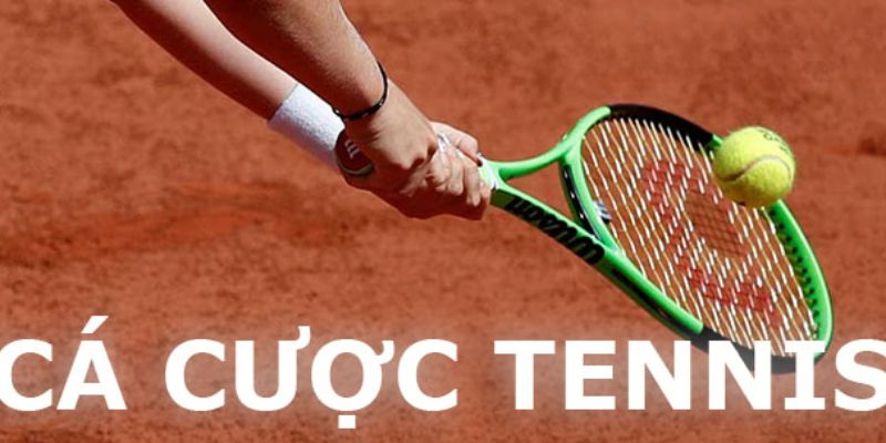 Vào cược tại sảnh SABA